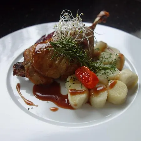 Desilva Katowice Airport Szálloda Pyrzowice